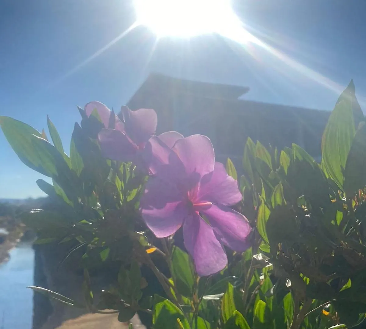 Chacara Paraiso Recanto Do Sol Caldas Novas