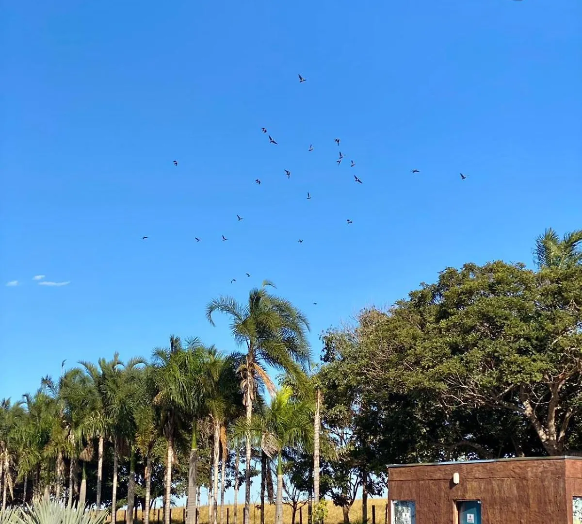 Chacara Paraiso Recanto Do Sol Caldas Novas Dom wakacyjny