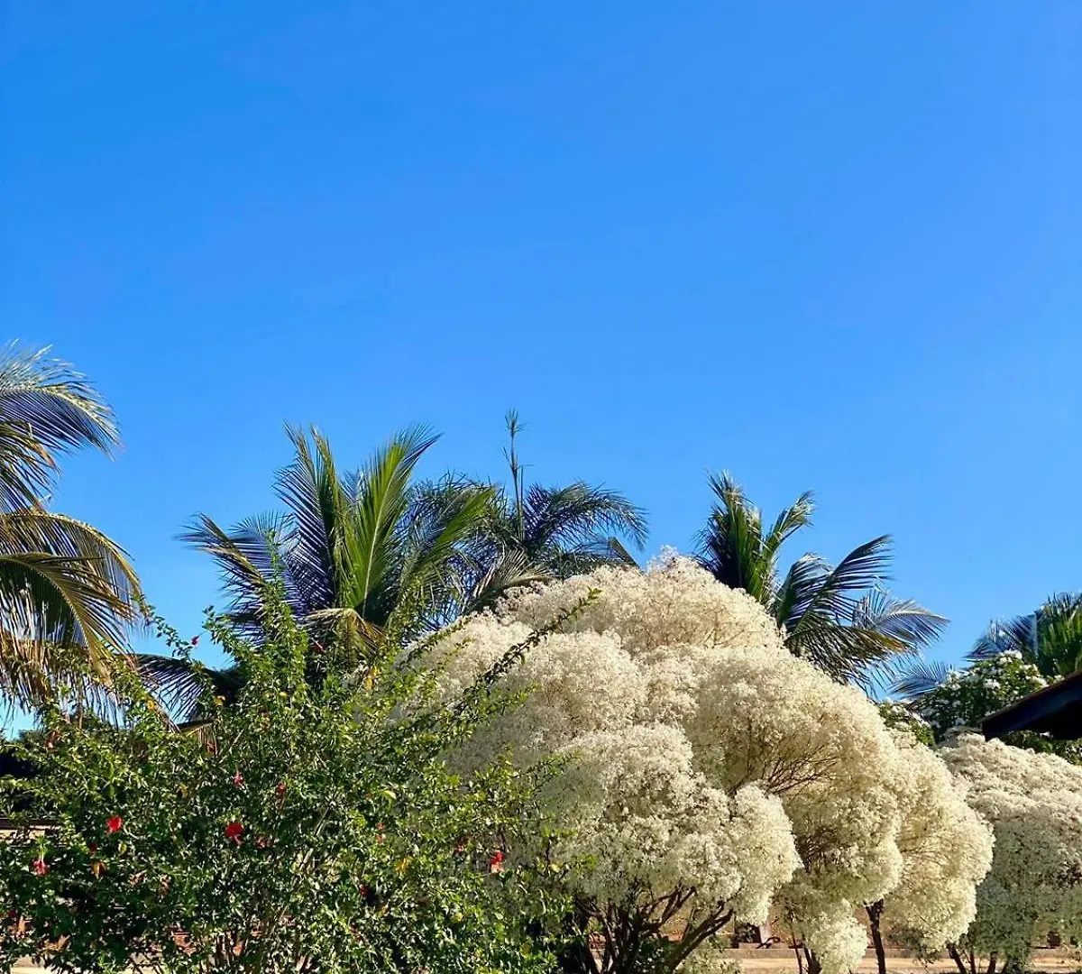 Dom wakacyjny Chacara Paraiso Recanto Do Sol Caldas Novas Brazylia