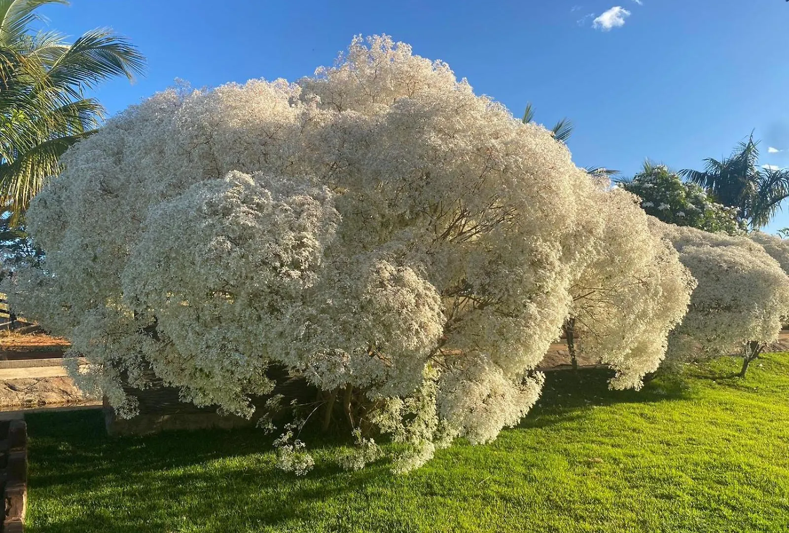 Chacara Paraiso Recanto Do Sol Caldas Novas 0*,  Brazylia